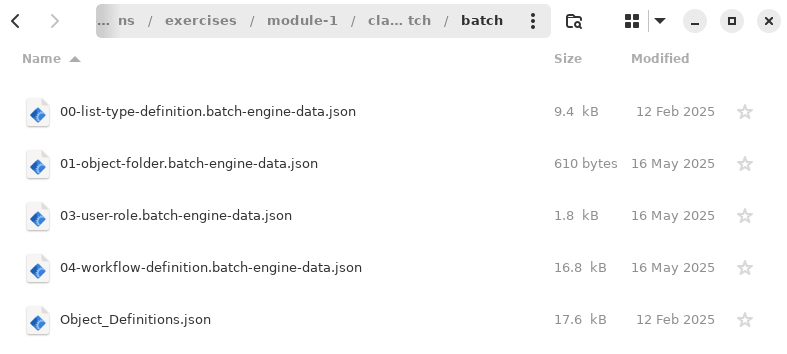Within the batch folder, there should now be five .json files.