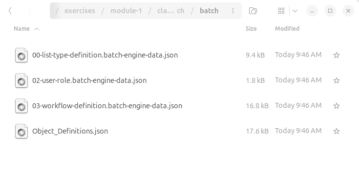 Within the batch folder, there should now be four .json files.