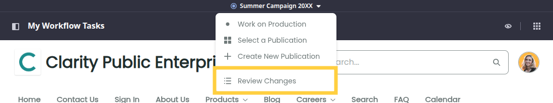 Expand the Publications Menu and click Review Changes.